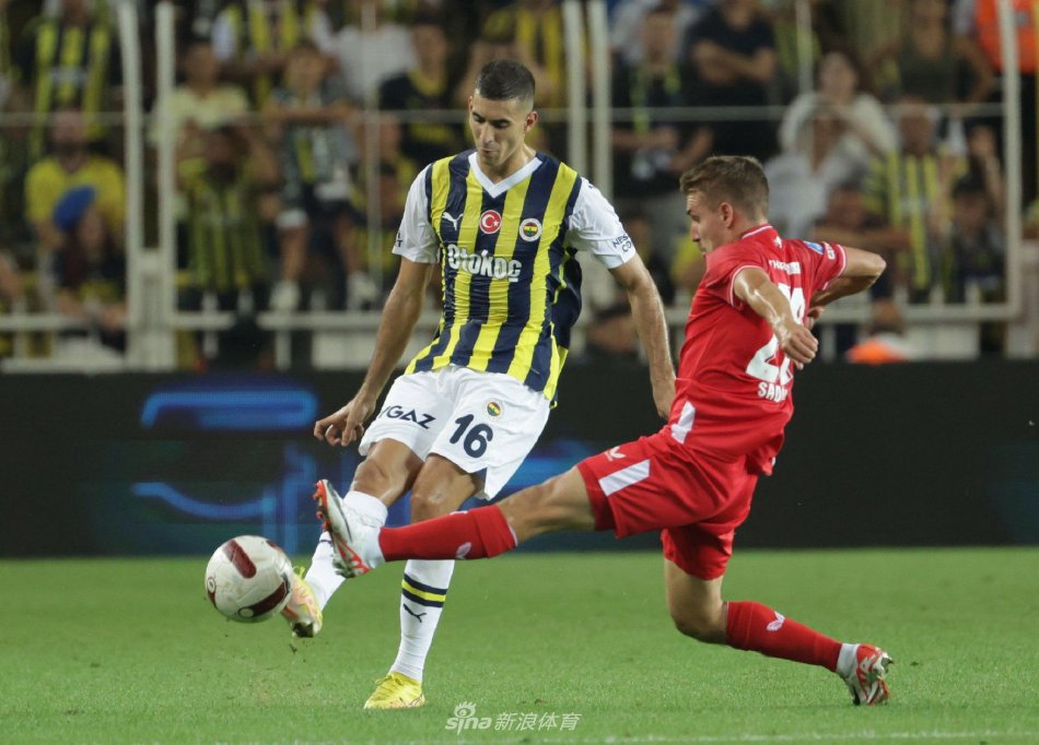 迷间引发了 迷间引发了